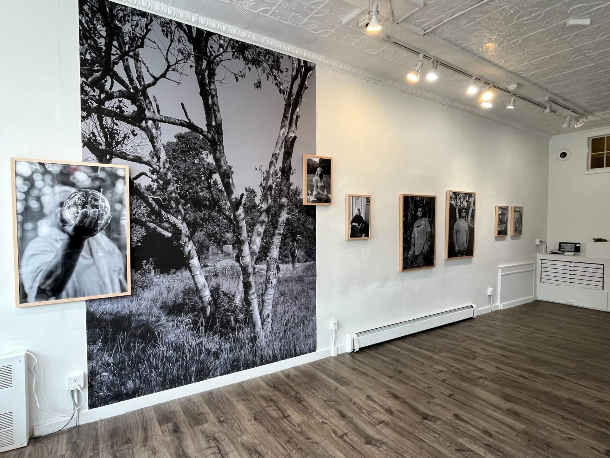A large black-and-white landscape photo is surrounded by smaller portraits on a gallery wall.