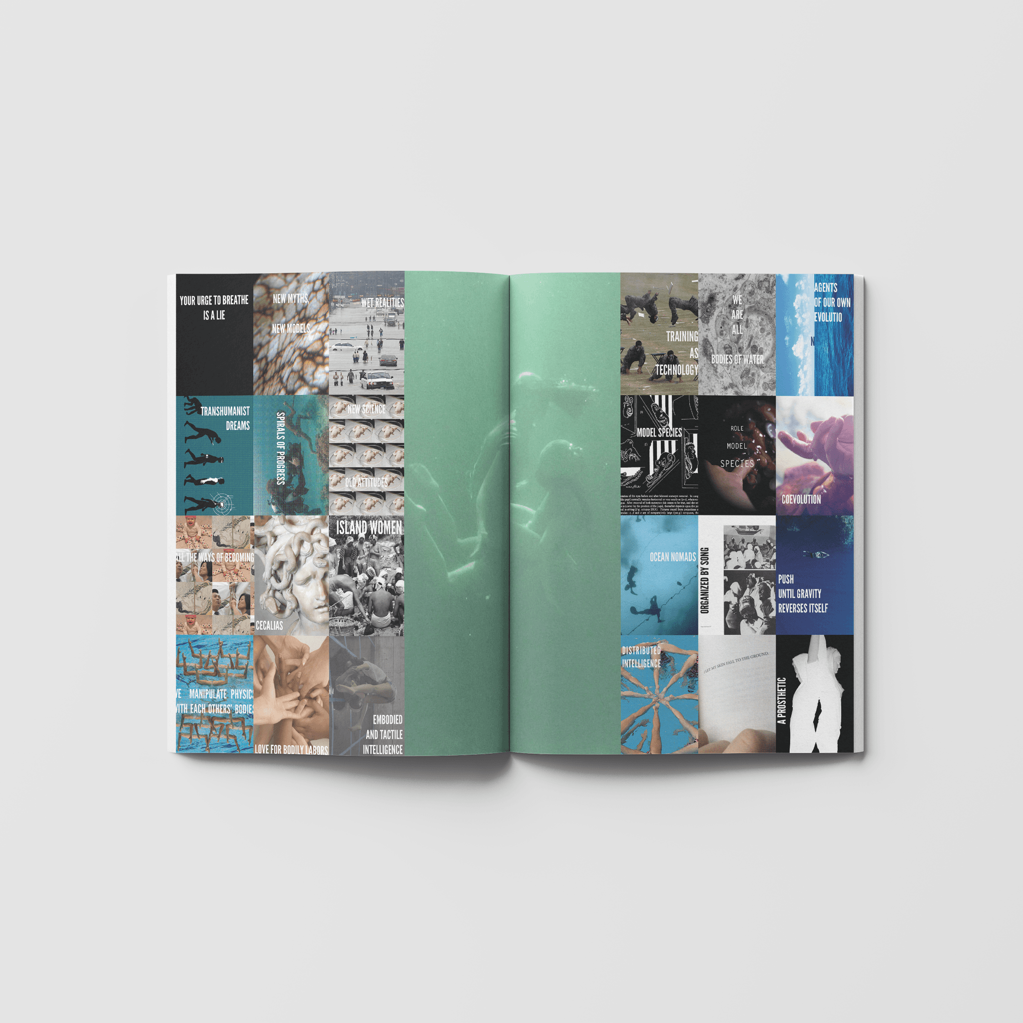 Issue 02: Field Work - Limited Second Print - BARIssue02-4